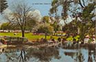 Dane Park bridge and lake  [colour, Paragon PC]